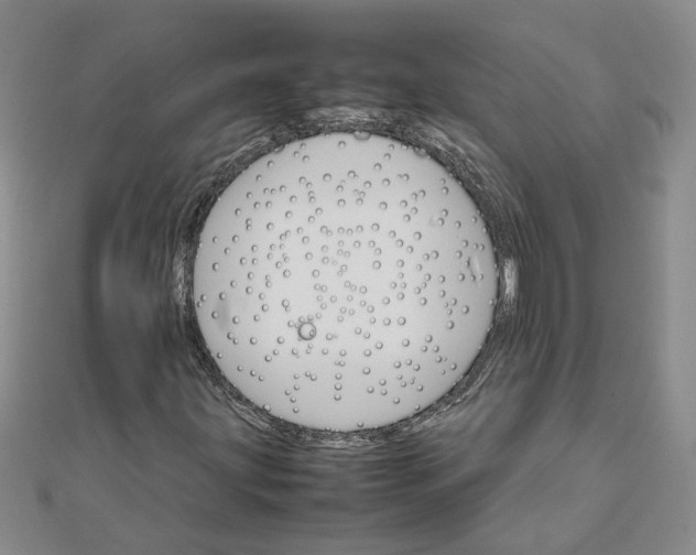 X0000111681203200908071418