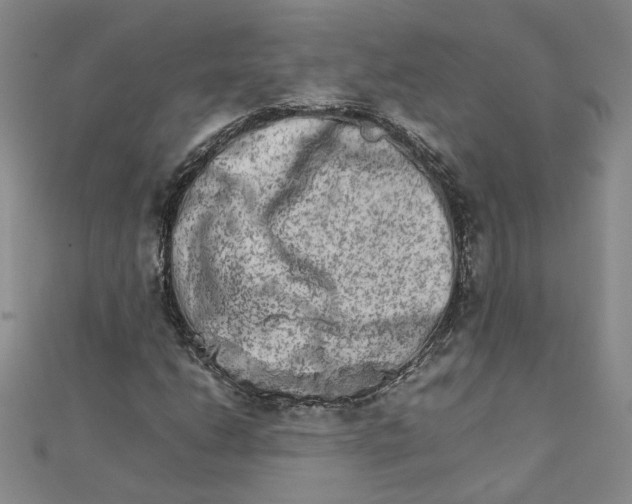 X0000111681206200908071418