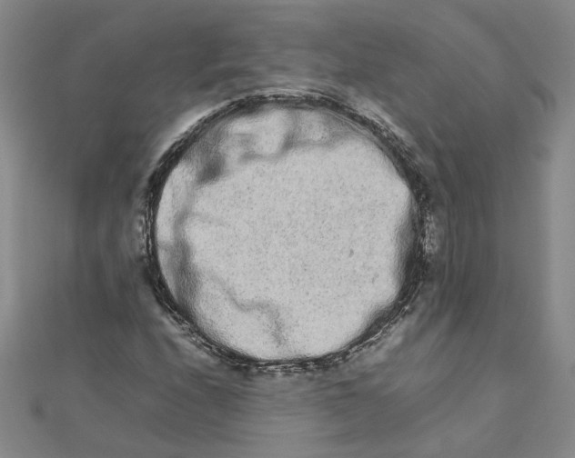 X0000111681208200908071418