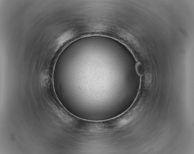 X0000111681210200908071418