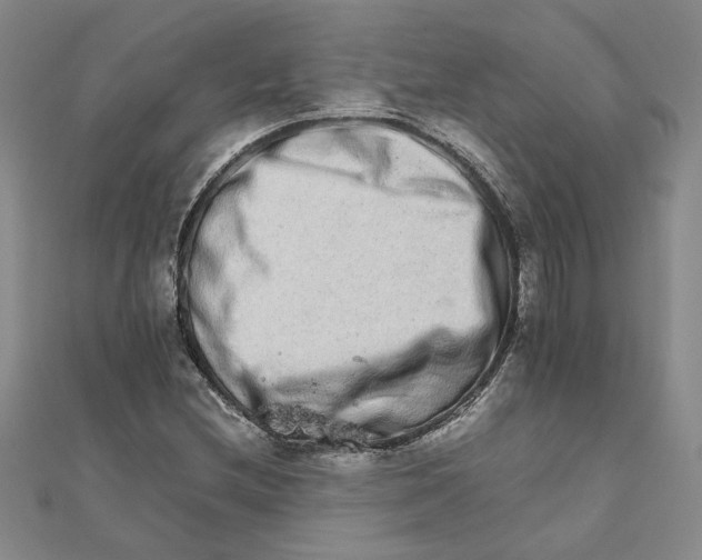 X0000111681212200908071418