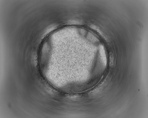 X0000111681213200908071418