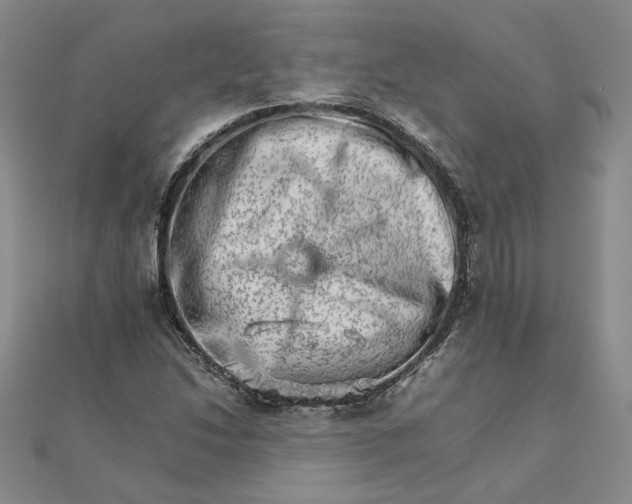 X0000111681214200908071418