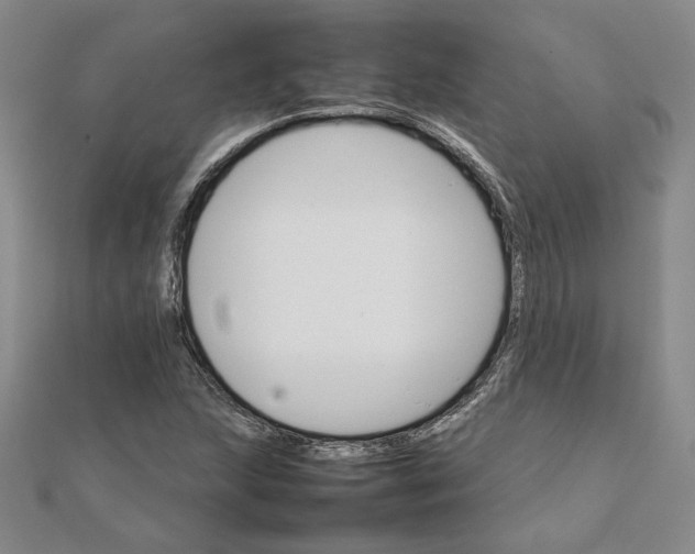 X0000111681215200908071418