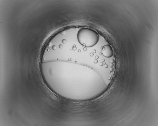 X0000111681216200908071418