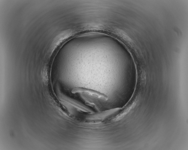 X0000111681218200908071418