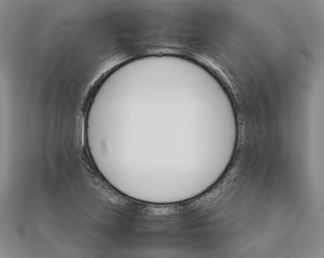 X0000111681219200908071418