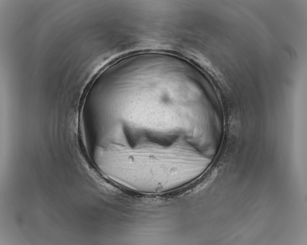 X0000111681220200908071418