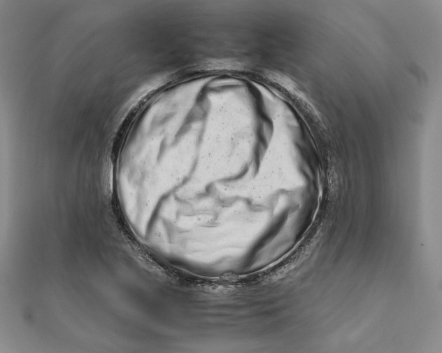 X0000111681221200908071418