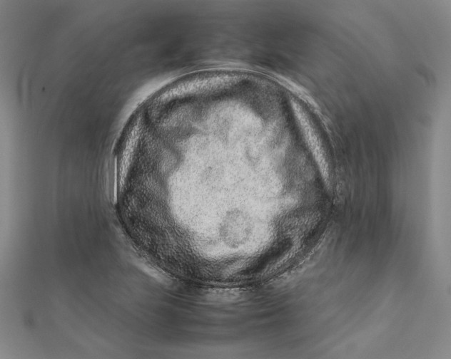 X0000111681223200908071418