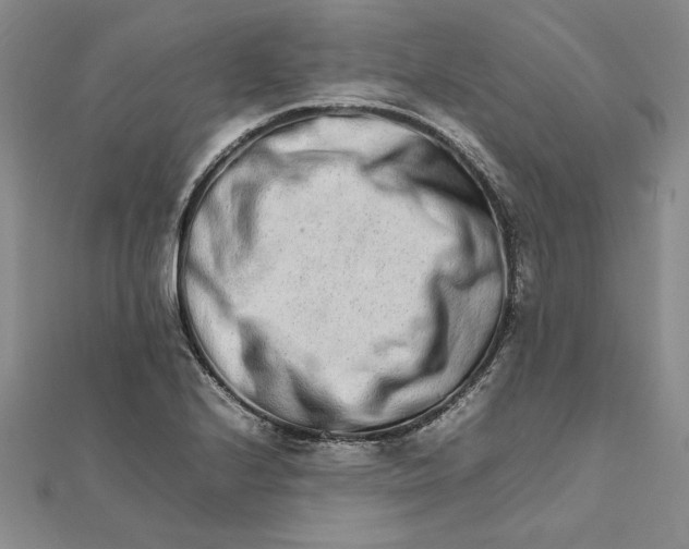 X0000111681224200908071418