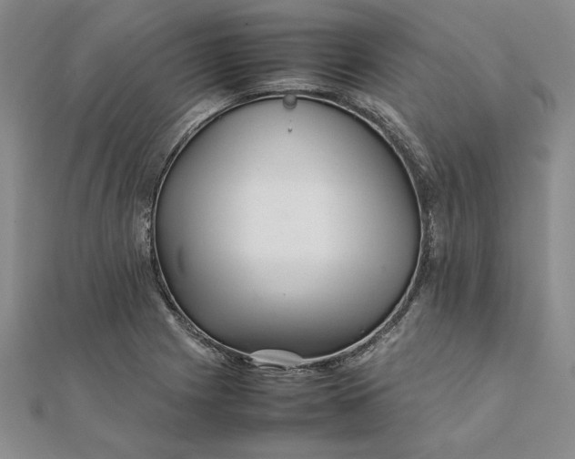 X0000111681225200908071418