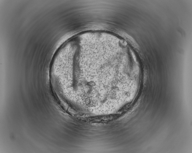 X0000111681226200908071418