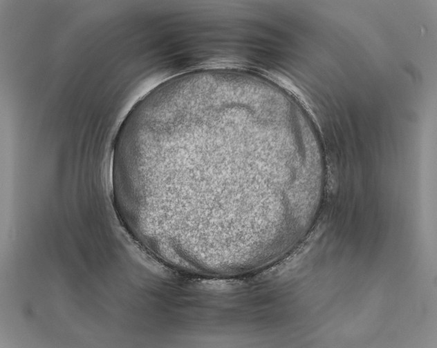 X0000111681227200908071418