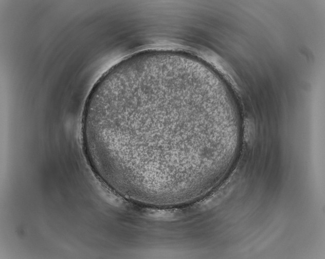 X0000111681229200908071418