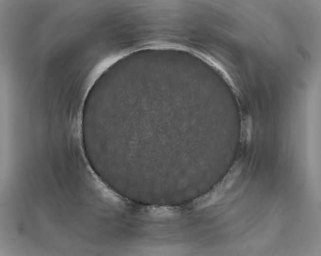 X0000111681231200908071418