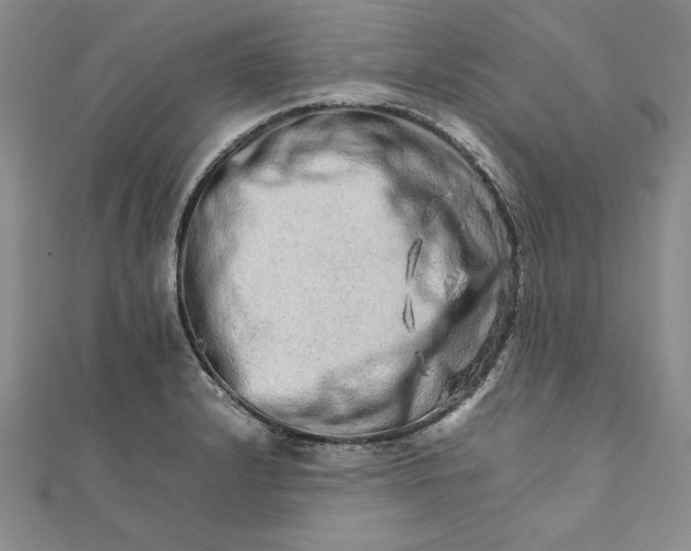 X0000111681232200908071418