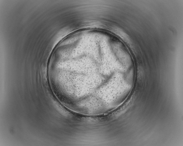 X0000111681234200908071418