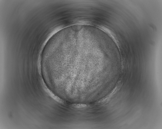 X0000111681235200908071418