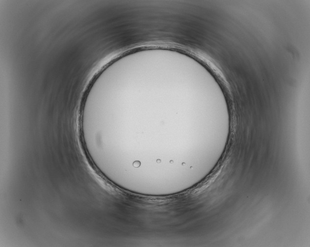 X0000111681237200908071418