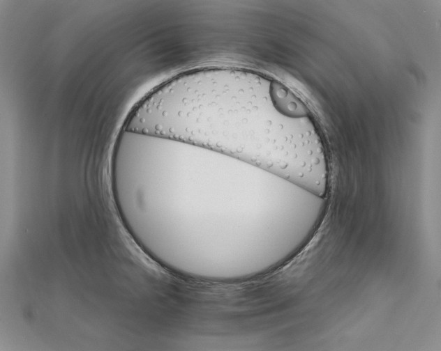 X0000111681238200908071418