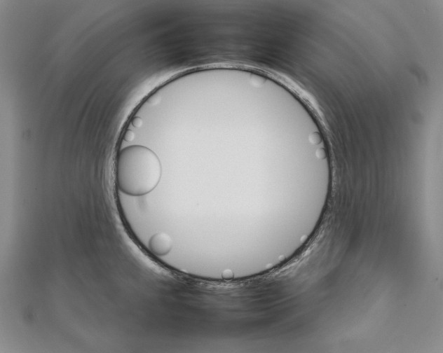 X0000111681239200908071418