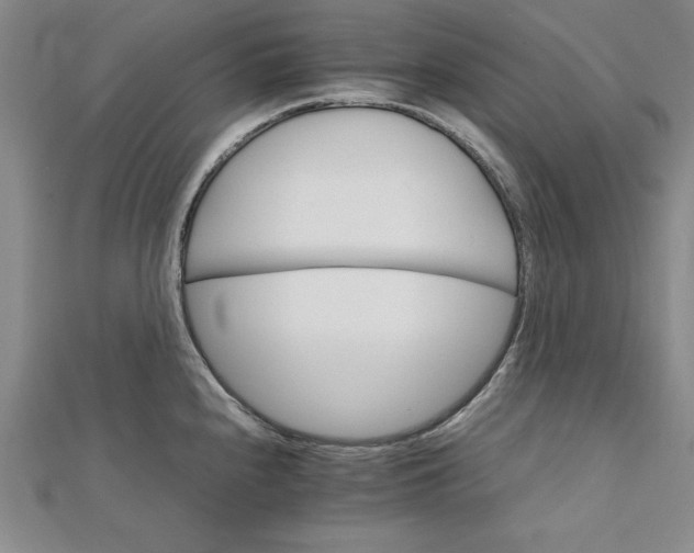 X0000111681240200908071418