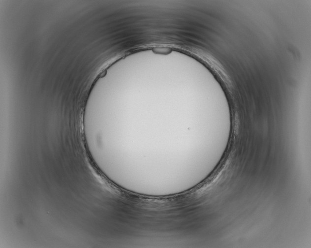 X0000111681241200908071418