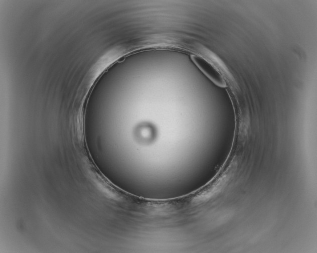 X0000111681242200908071418