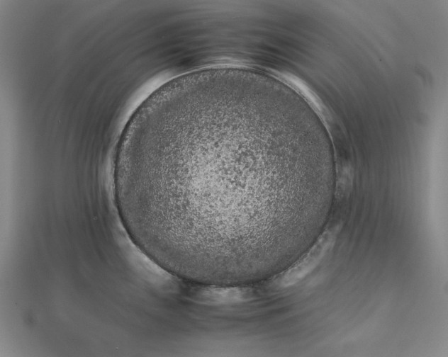 X0000111681243200908071418