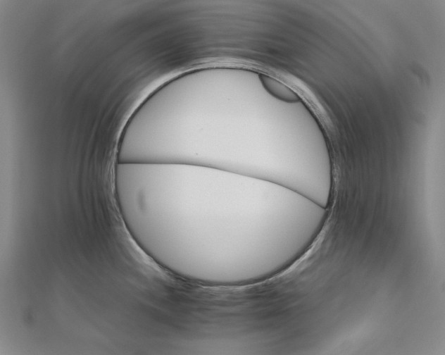 X0000111681244200908071418