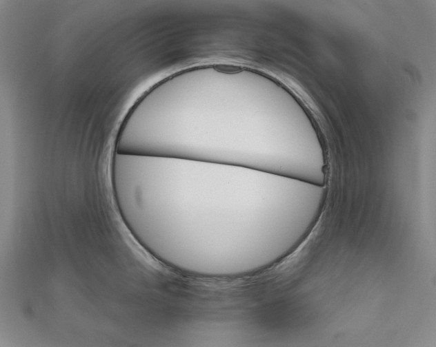 X0000111681246200908071418