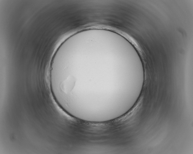 X0000111681247200908071418