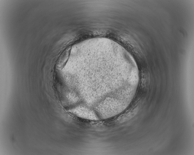 X0000111681249200908071418