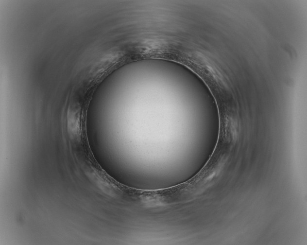 X0000111681250200908071418