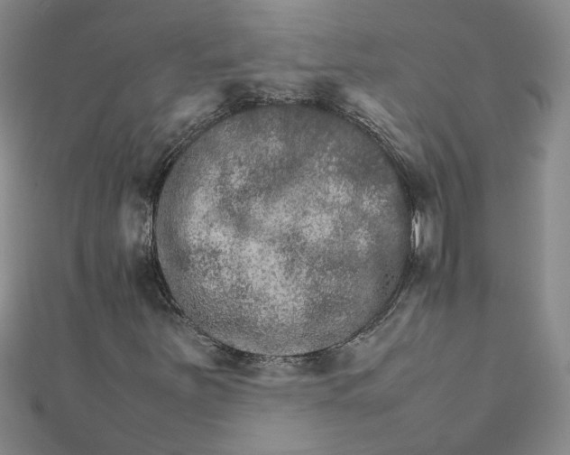 X0000111681251200908071418