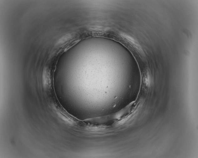 X0000111681252200908071418