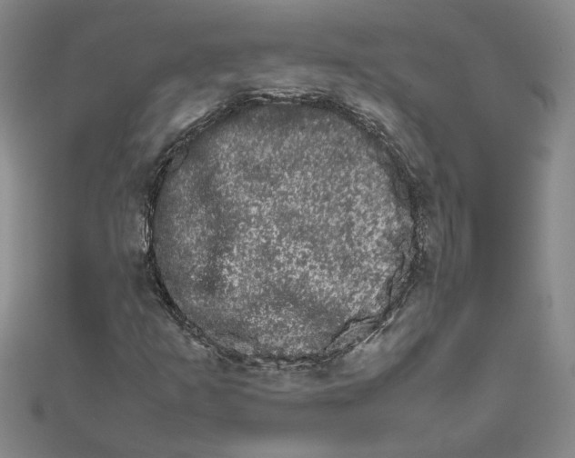 X0000111681253200908071418