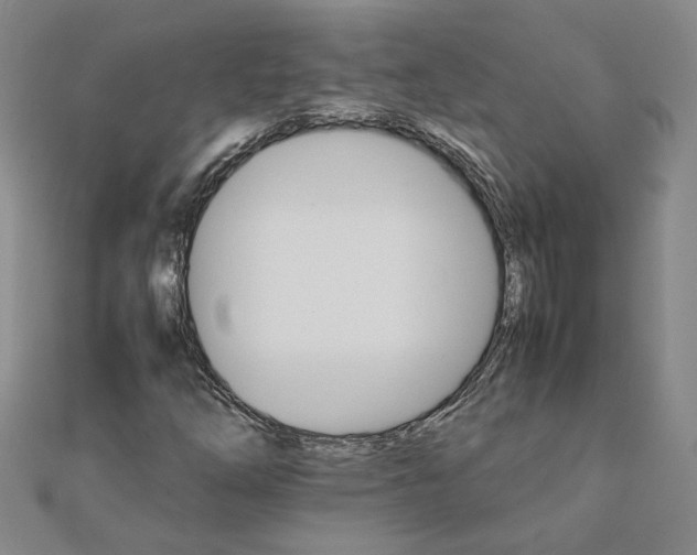 X0000111681254200908071418