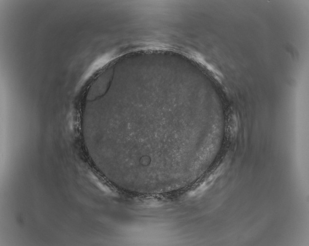 X0000111681255200908071418