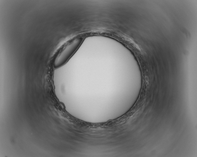 X0000111681256200908071418