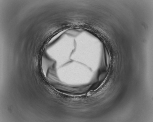 X0000111681257200908071418