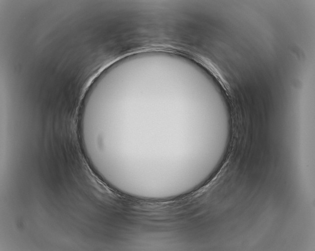 X0000111681260200908071418