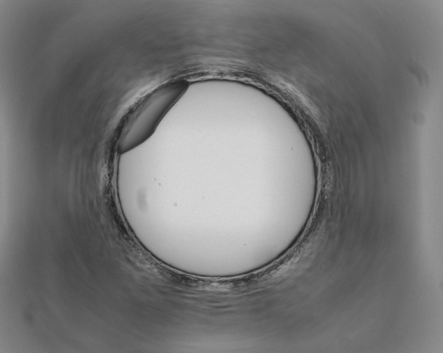 X0000111681261200908071418