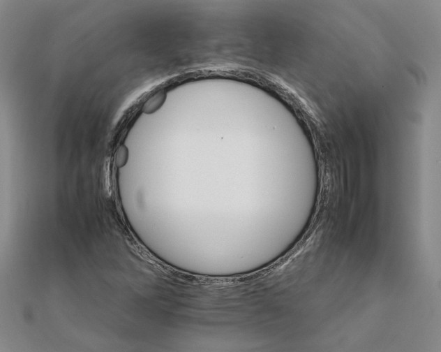 X0000111681262200908071418