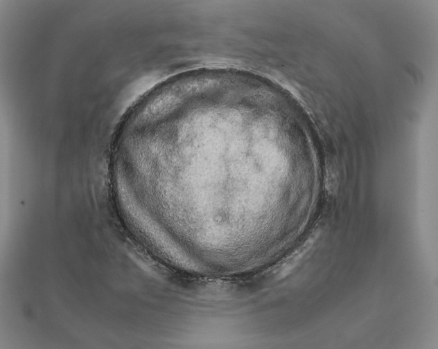 X0000111681263200908071418