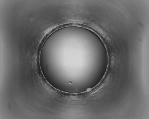 X0000111681264200908071418