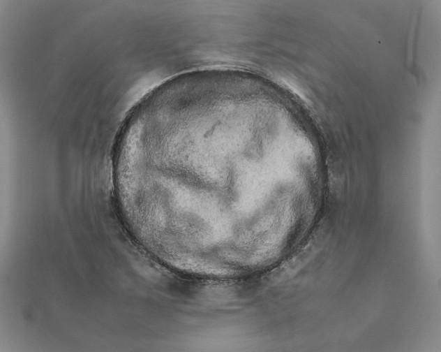 X0000111681267200908071417