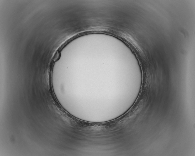 X0000111681268200908071417