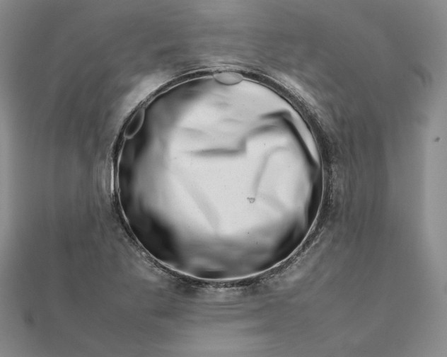 X0000111681269200908071417